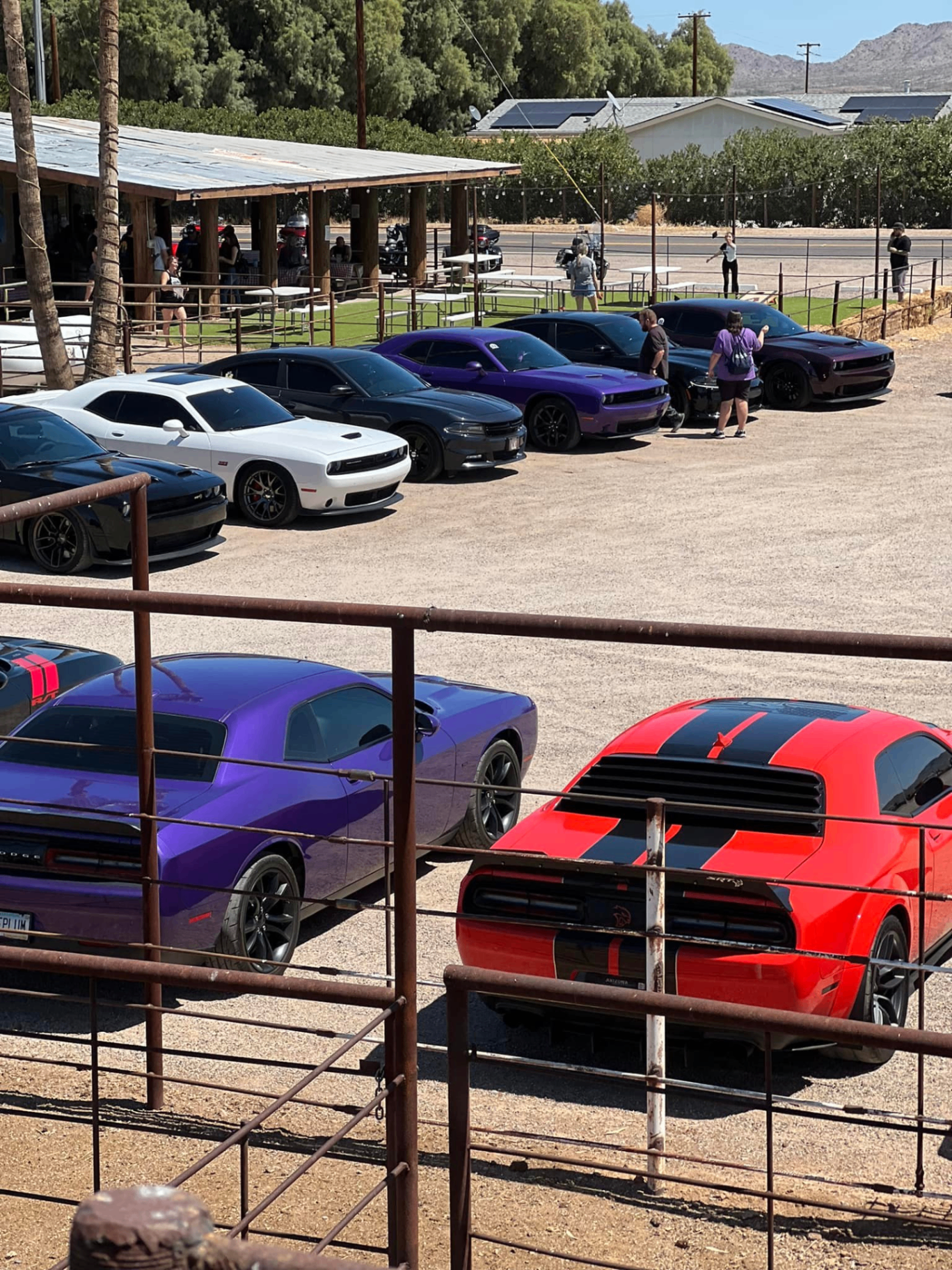 The Desert Rose Bar & Grill